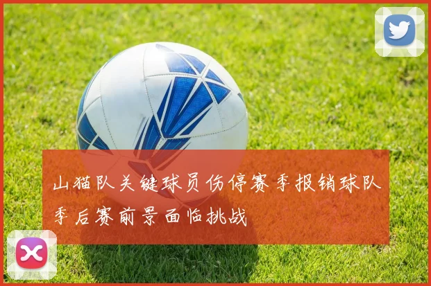 山猫队关键球员伤停赛季报销球队季后赛前景面临挑战