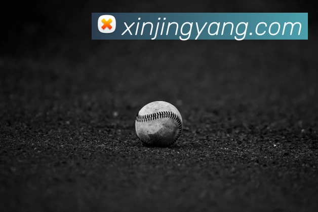 九游服务体系